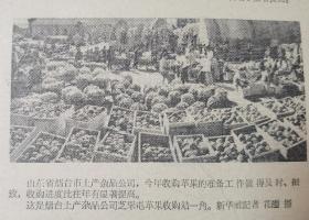 城市记忆 跨越时空的教育与农业